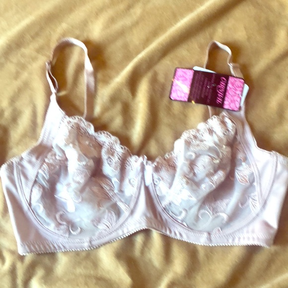 Carnival 42D Lace Underwire Bra - Picture 1 of 7